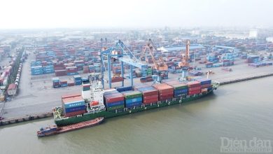 Kỳ vọng của doanh nghiệp khi giảm phí hạ tầng cảng biển Kỳ vọng của doanh nghiệp khi giảm phí hạ tầng cảng biển