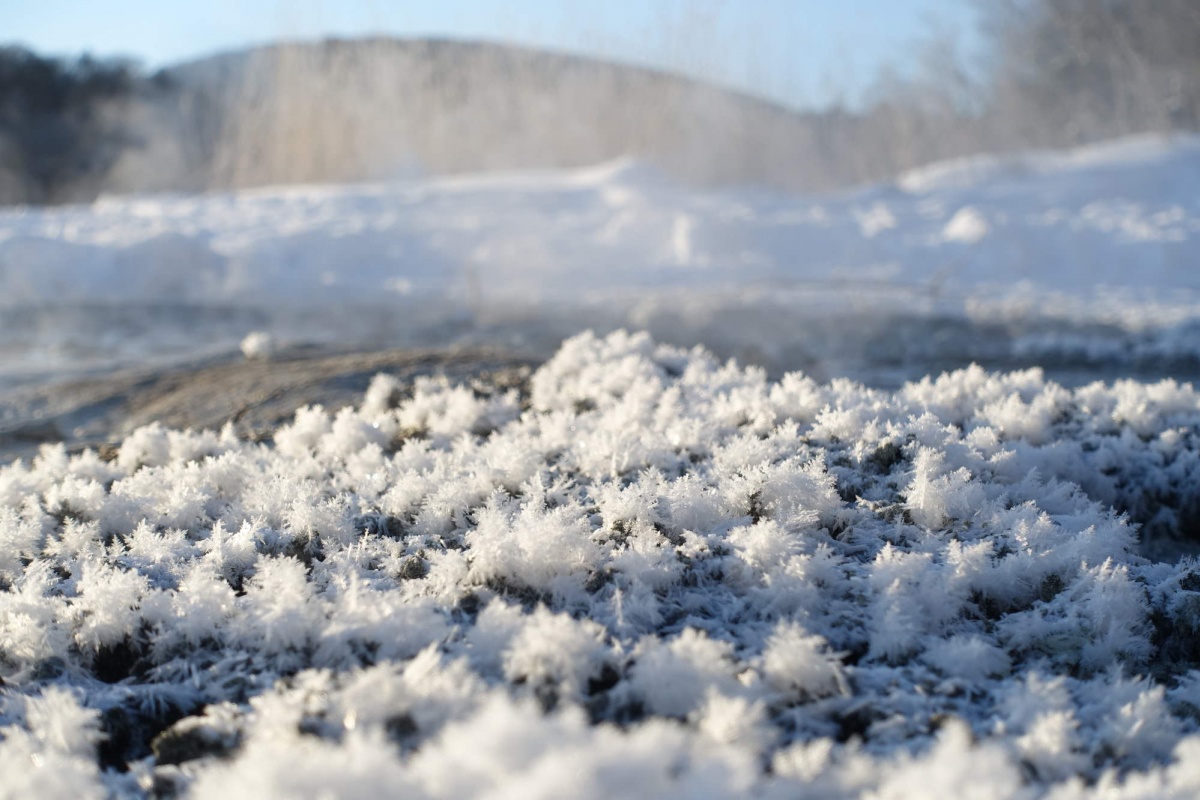 Hiện tượng hồ nở hoa băng ở Nhật