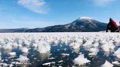 Hiện tượng hồ nở hoa băng ở Nhật