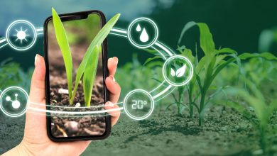 Chuyển đổi số hướng tới nông thôn mới thông minh