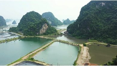 Cần nâng cao hơn nữa trách nhiệm bảo vệ các di sản đã được thế giới công nhận