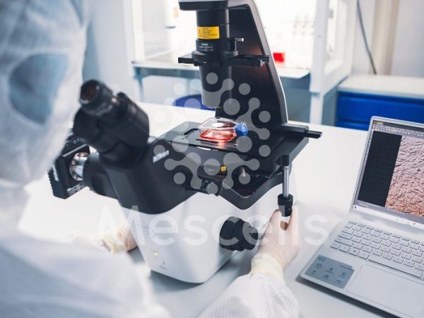 Khám phá hệ thống Laboratory bên trong Mescells Khám phá hệ thống Laboratory bên trong Mescells