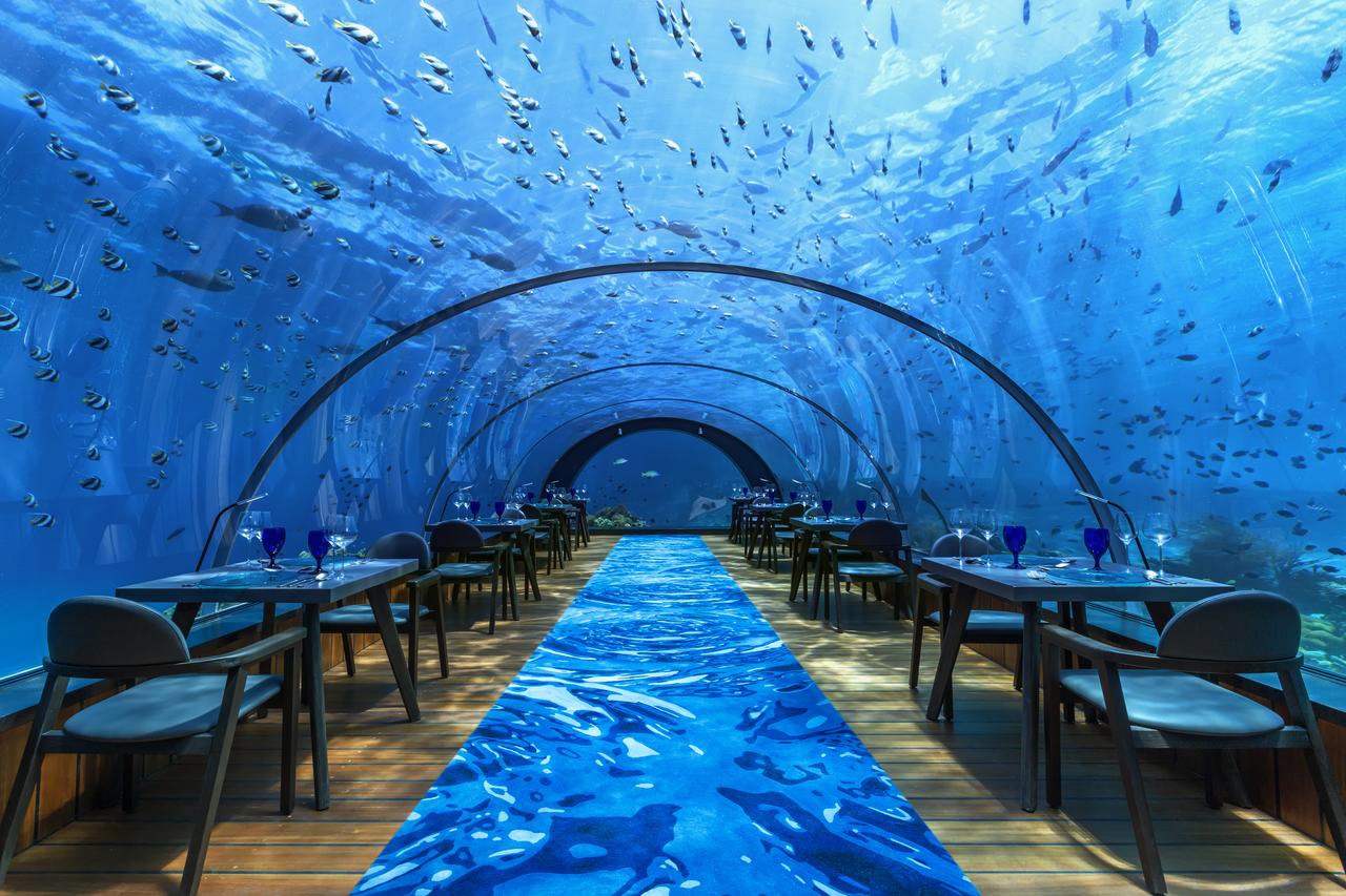 10 trải nghiệm fine dining tuyệt vời nhất thế giới 10 trải nghiệm fine dining tuyệt vời nhất thế giới