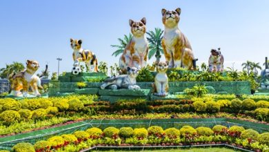 Nhiều tour du xuân qua miền đất võ hấp dẫn du khách đến với Bình Định