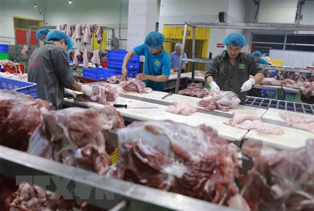 Tết không sốt giá, khan hàng: Mừng hay lo? Tết không sốt giá, khan hàng: Mừng hay lo?