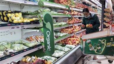 Tết không sốt giá, khan hàng: Mừng hay lo?