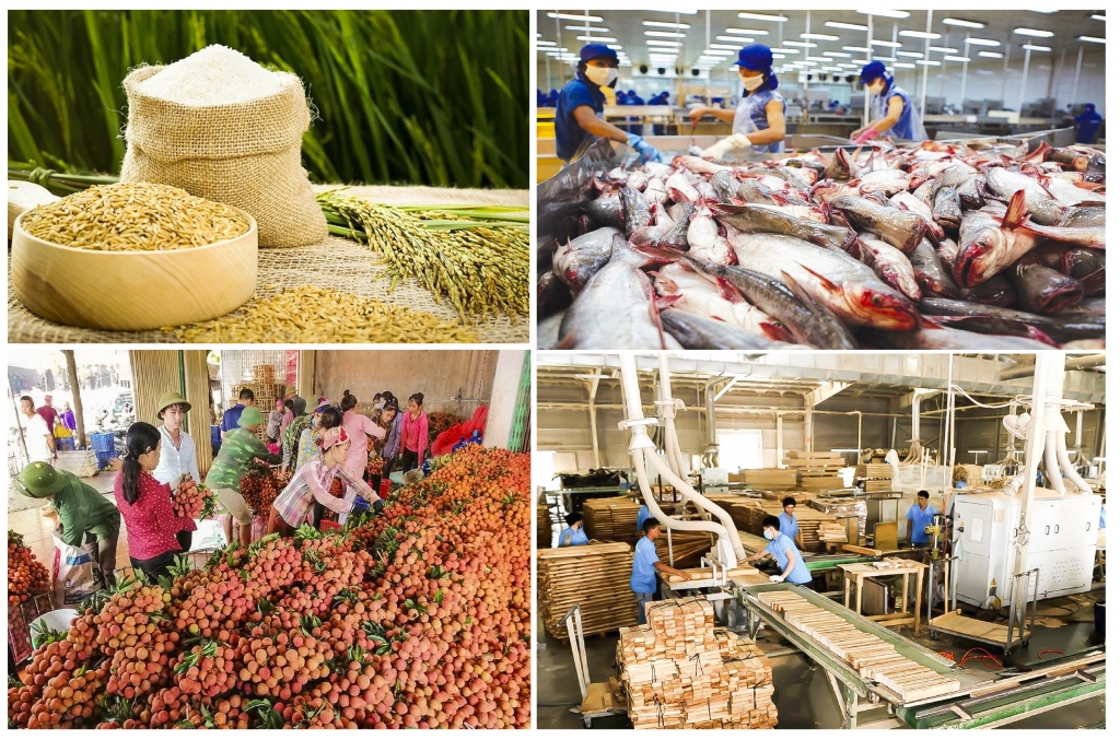 Nông sản Việt Nam có nhiều lợi thế xuất khẩu sang thị trường Anh