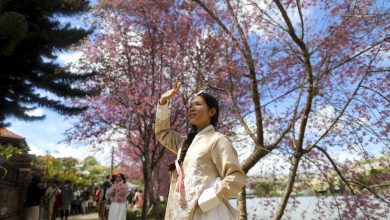 Du khách Việt siết hầu bao