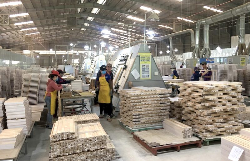 Thúc đẩy doanh nghiệp đầu tư vào trồng rừng hình thành chuỗi liên kết Thúc đẩy doanh nghiệp đầu tư vào trồng rừng hình thành chuỗi liên kết