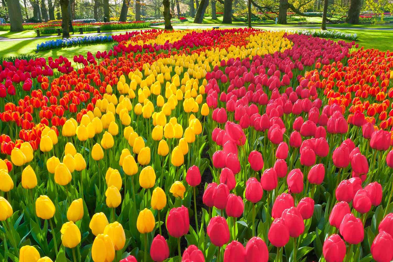 Những điểm đến đặc trưng theo màu sắc năm 2023