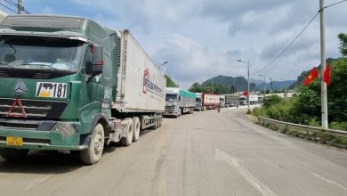 Hoạt động xuất nhập khẩu tại các cửa khẩu khởi sắc