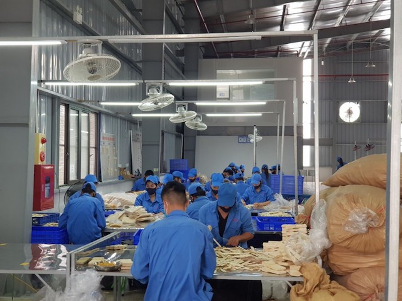 Thúc đẩy doanh nghiệp đầu tư vào trồng rừng hình thành chuỗi liên kết Thúc đẩy doanh nghiệp đầu tư vào trồng rừng hình thành chuỗi liên kết
