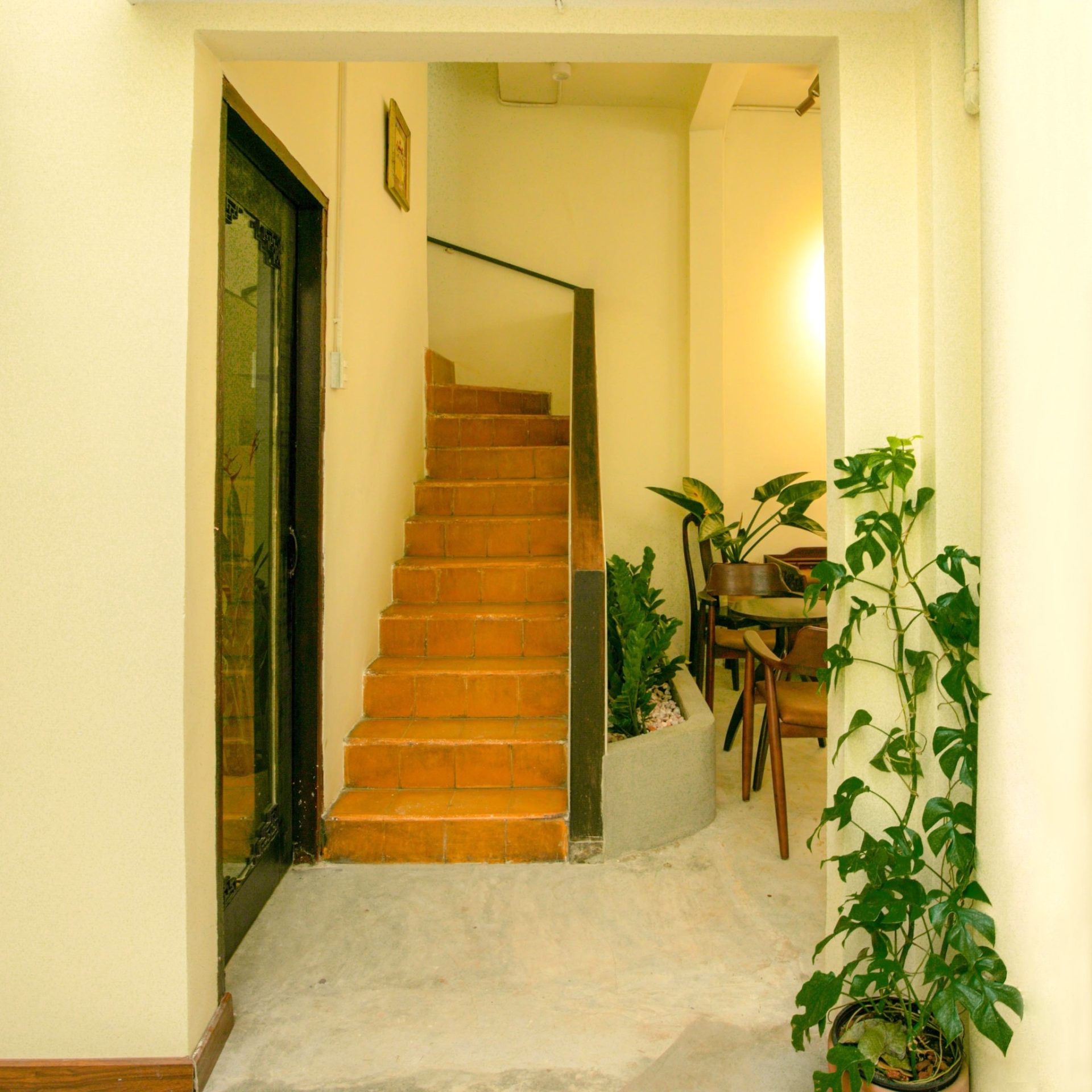 Ngày không vội vã ở những quán cà phê xanh tại TP.HCM