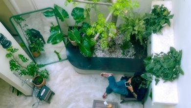 Ngày không vội vã ở những quán cà phê xanh tại TP.HCM Ngày không vội vã ở những quán cà phê xanh tại TP.HCM