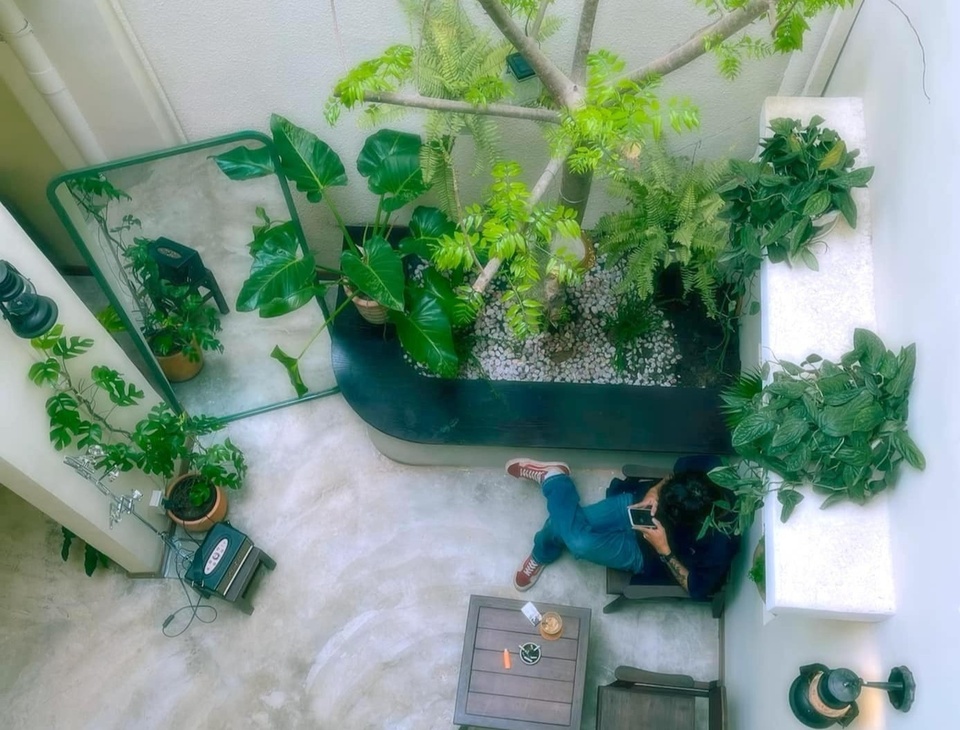 Ngày không vội vã ở những quán cà phê xanh tại TP.HCM