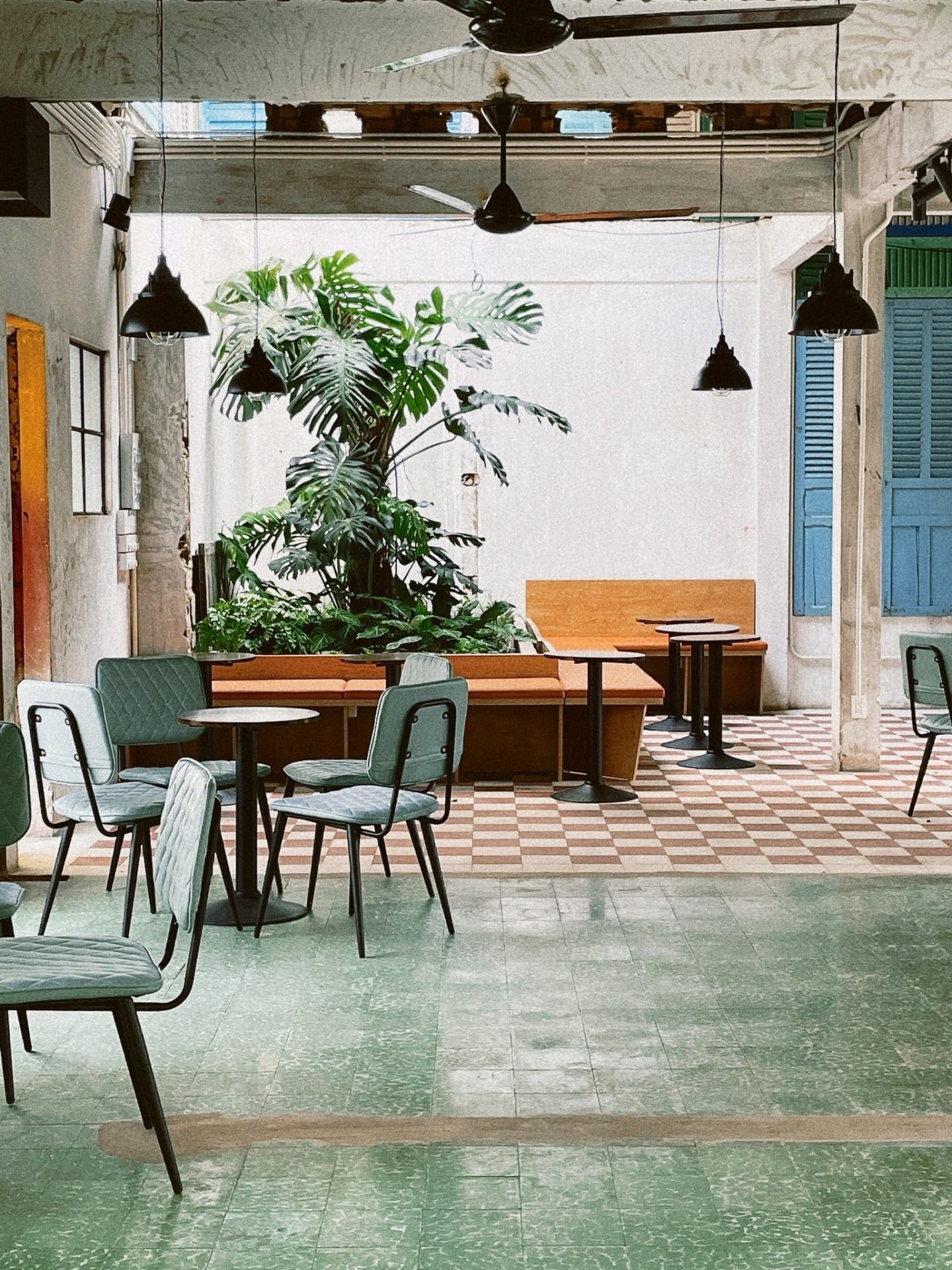 Ngày không vội vã ở những quán cà phê xanh tại TP.HCM