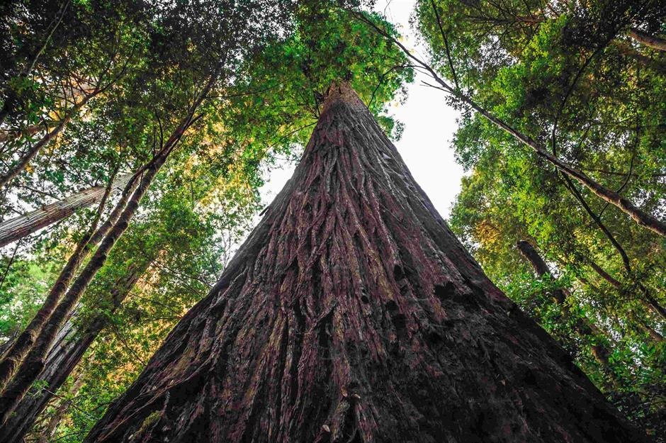 6 điểm nổi tiếng du khách không còn được ghé thăm