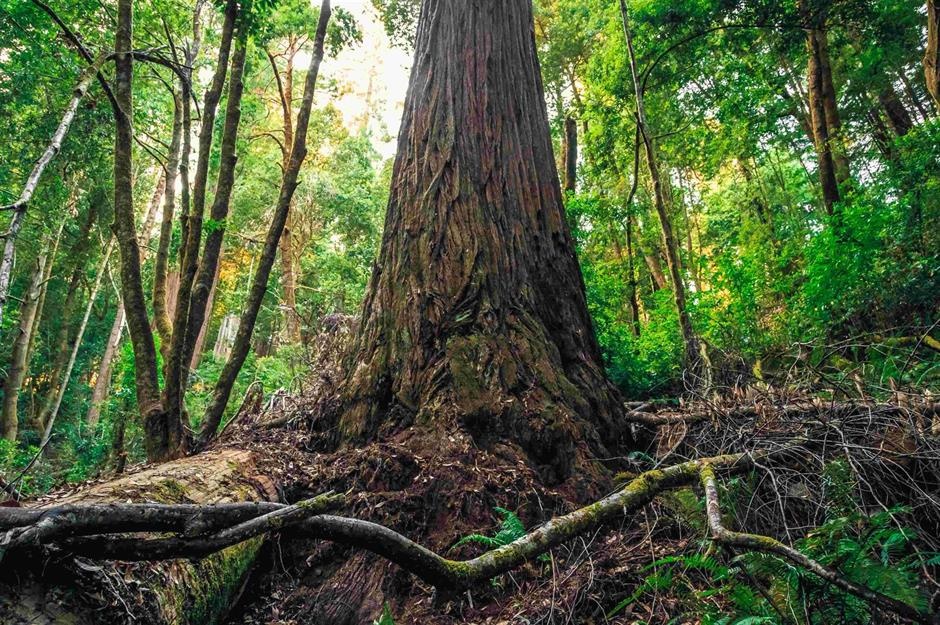 6 điểm nổi tiếng du khách không còn được ghé thăm