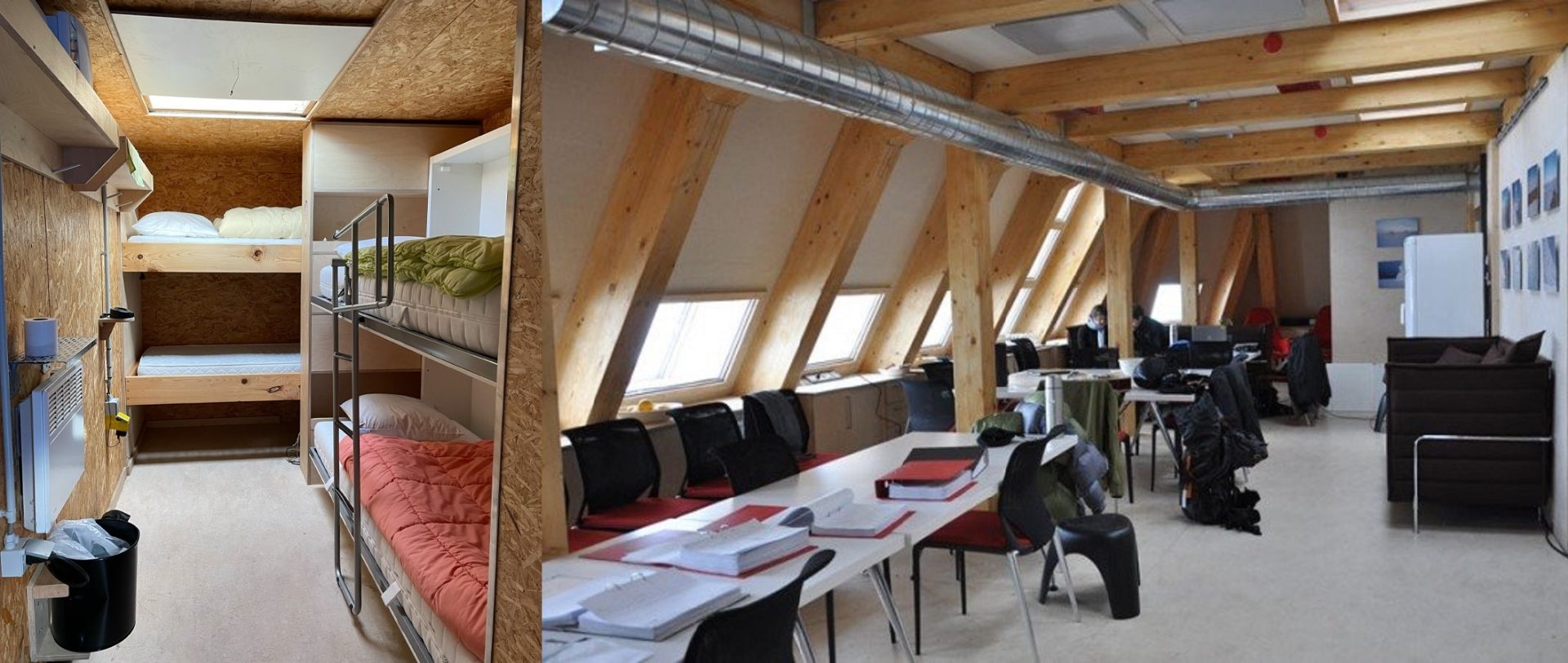 Ăn gì ở nơi lạnh nhất thế giới Ăn gì ở nơi lạnh nhất thế giới