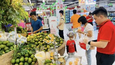 Nhiều siêu thị, sàn TMĐT 'giải cứu' cam sành rớt giá Nhiều siêu thị, sàn TMĐT 'giải cứu' cam sành rớt giá