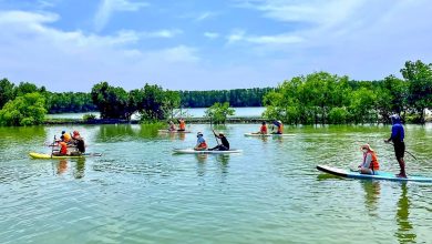 Du lịch Cồn Chim cần điểm nhấn Du lịch Cồn Chim cần điểm nhấn