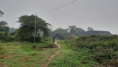 Doanh nghiệp bất động sản phải tự cứu mình Doanh nghiệp bất động sản phải tự cứu mình