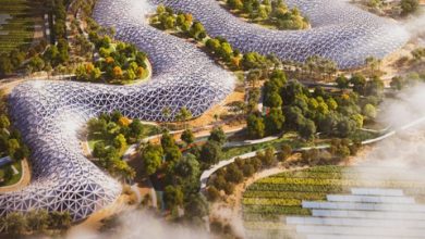 Dubai sẽ có siêu cao tốc lắp điều hoà Dubai sẽ có siêu cao tốc lắp điều hoà