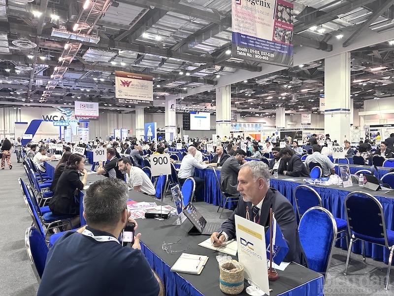 WCA 2023: Cơ hội mở rộng thị trường cho doanh nghiệp logistics Việt WCA 2023: Cơ hội mở rộng thị trường cho doanh nghiệp logistics Việt