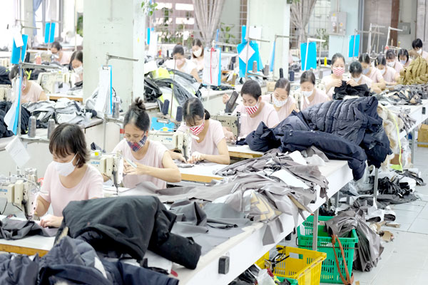 Những xu hướng chính trong năm Quý Mão Những xu hướng chính trong năm Quý Mão