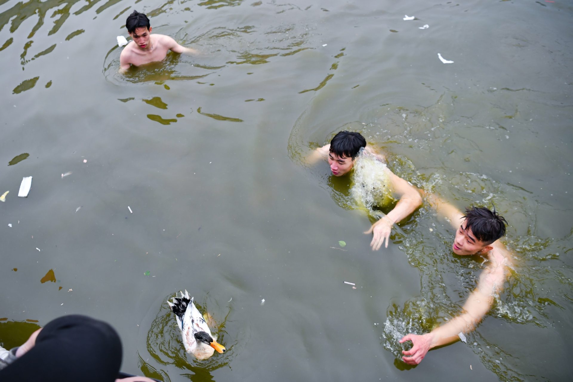Trai tráng ngâm mình trong nước lạnh, thi bắt vịt lấy may đầu năm