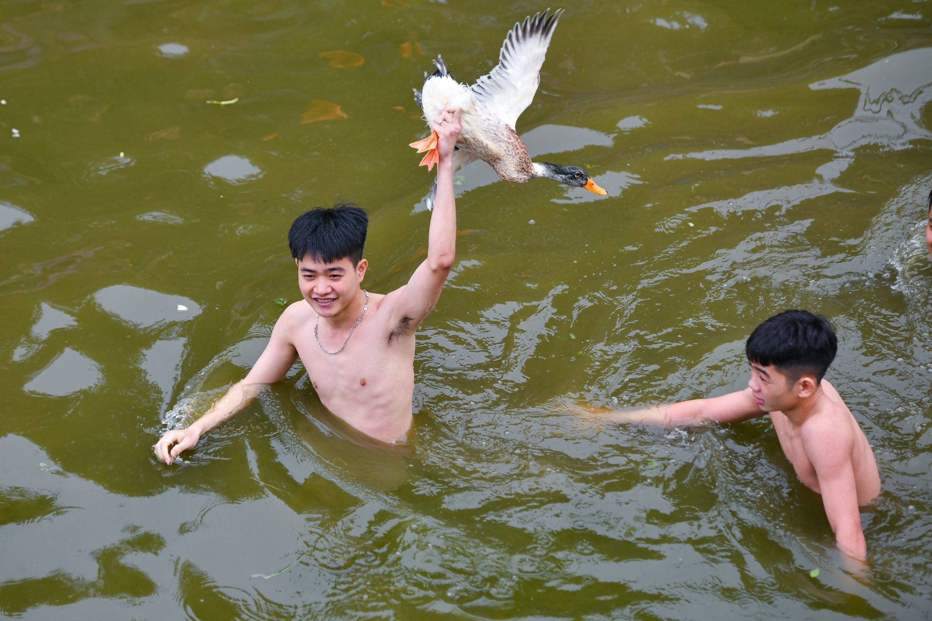 Trai tráng ngâm mình trong nước lạnh, thi bắt vịt lấy may đầu năm