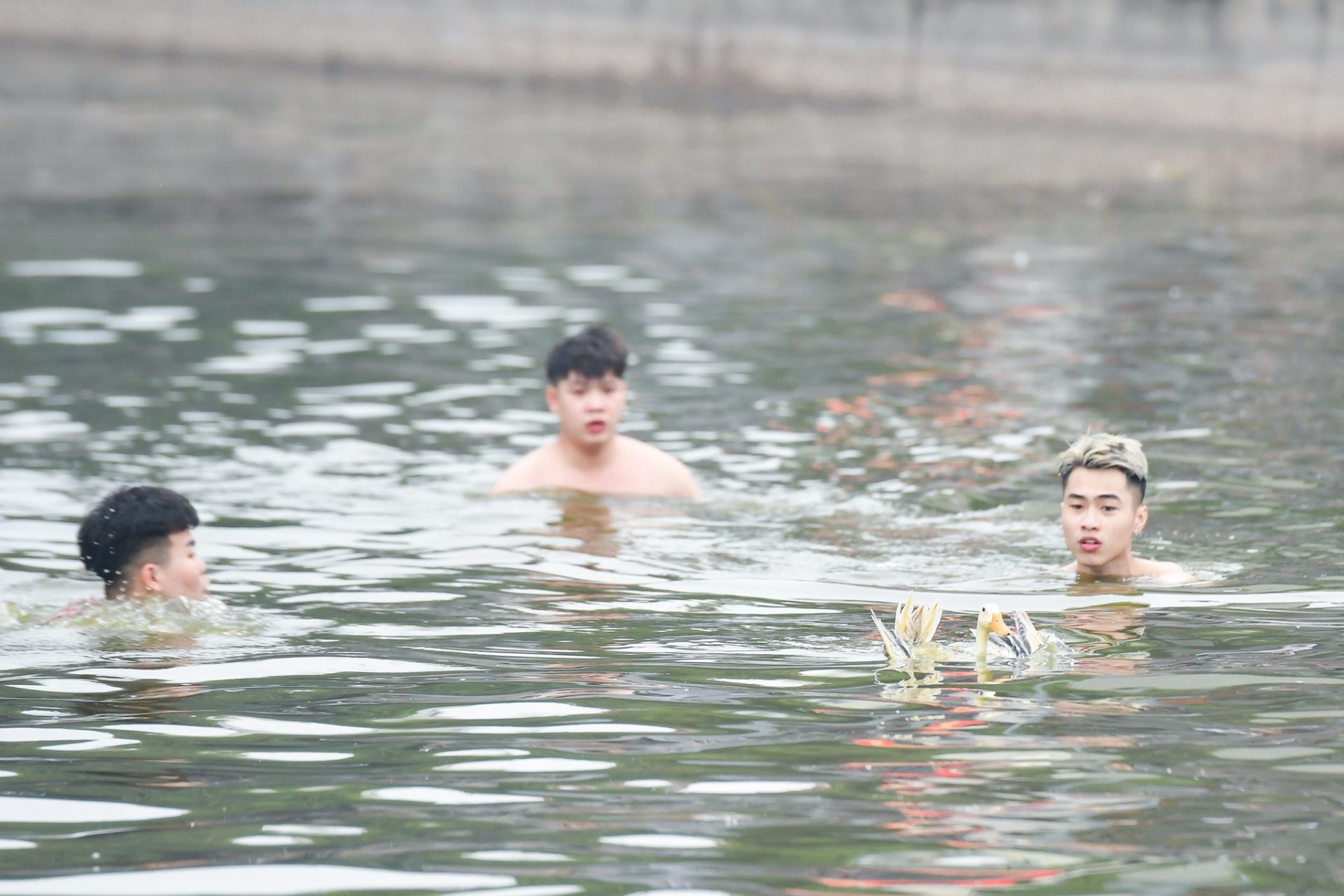 Trai tráng ngâm mình trong nước lạnh, thi bắt vịt lấy may đầu năm