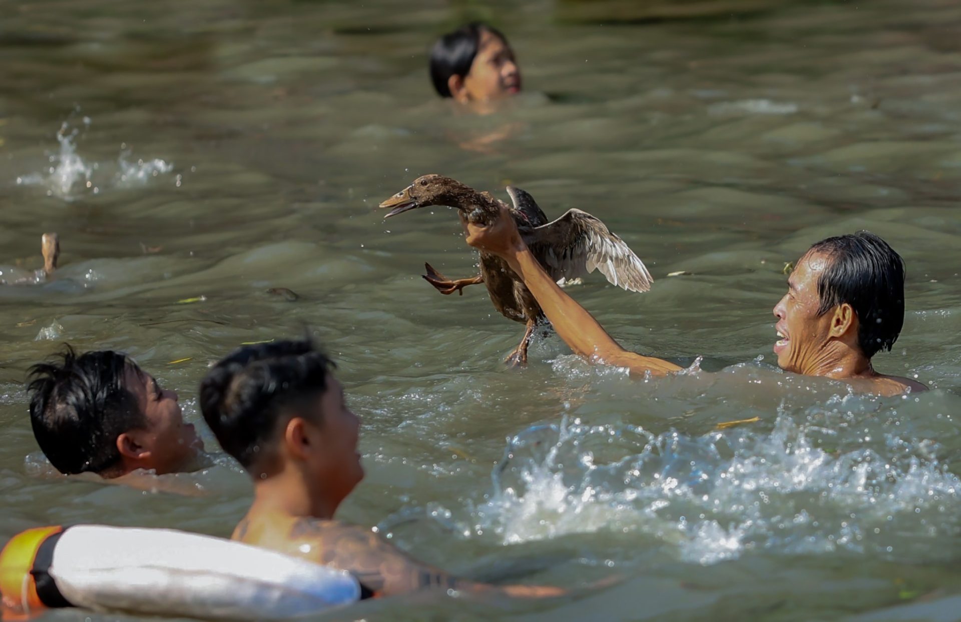 Hàng trăm thanh niên miền Tây lội sông bắt vịt để cầu may đầu năm