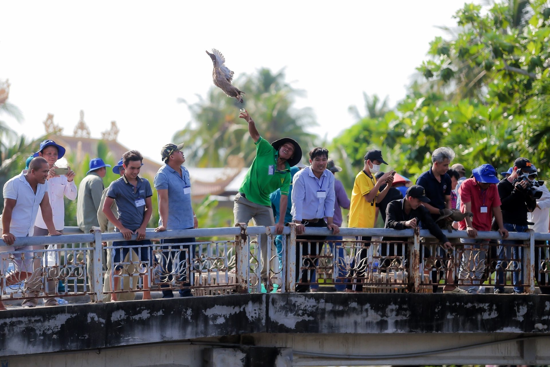 Hàng trăm thanh niên miền Tây lội sông bắt vịt để cầu may đầu năm
