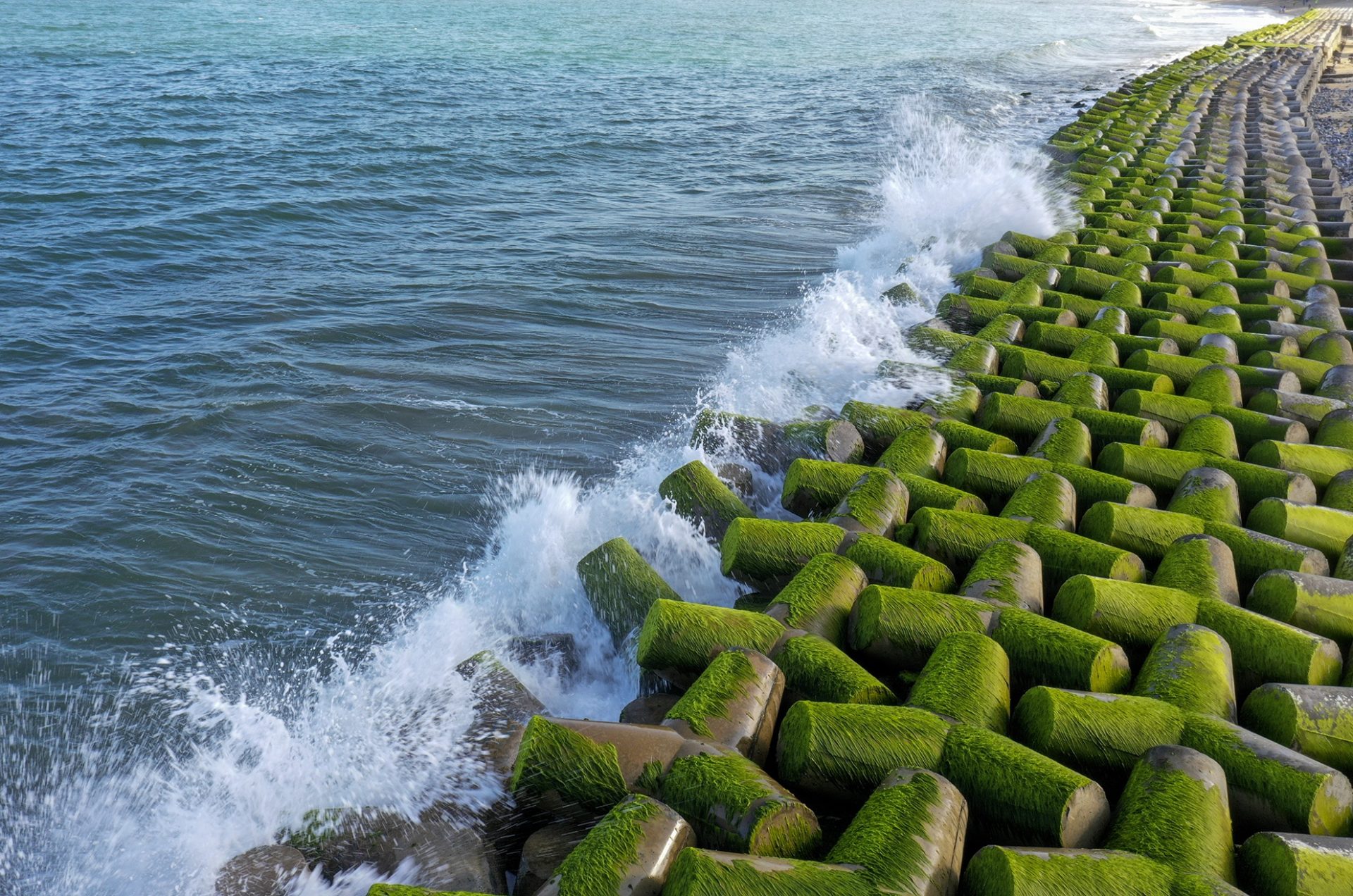 Đón bình minh bên kè chắn sóng phủ kín rêu xanh ở Quảng Ngãi