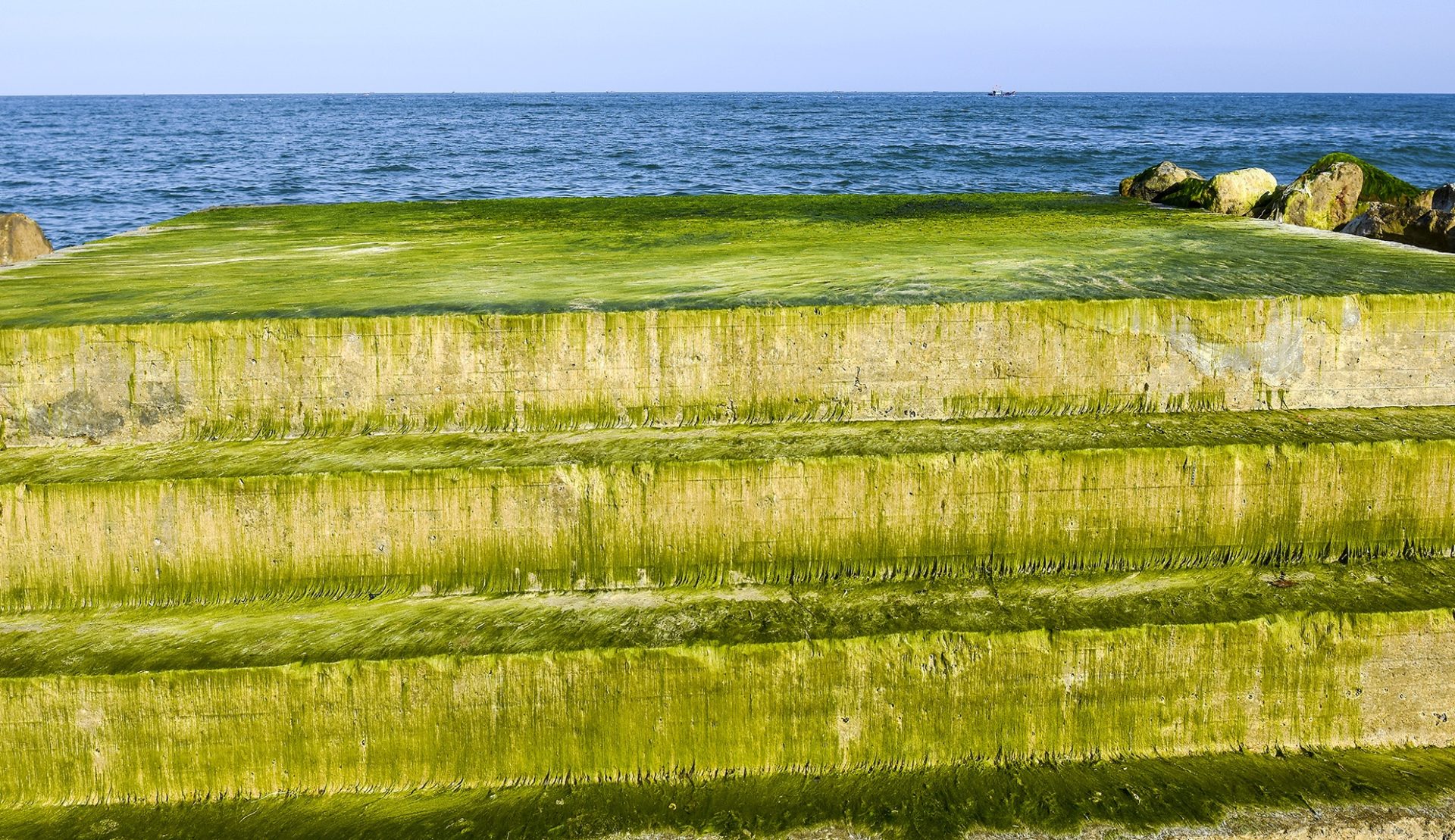 Đón bình minh bên kè chắn sóng phủ kín rêu xanh ở Quảng Ngãi