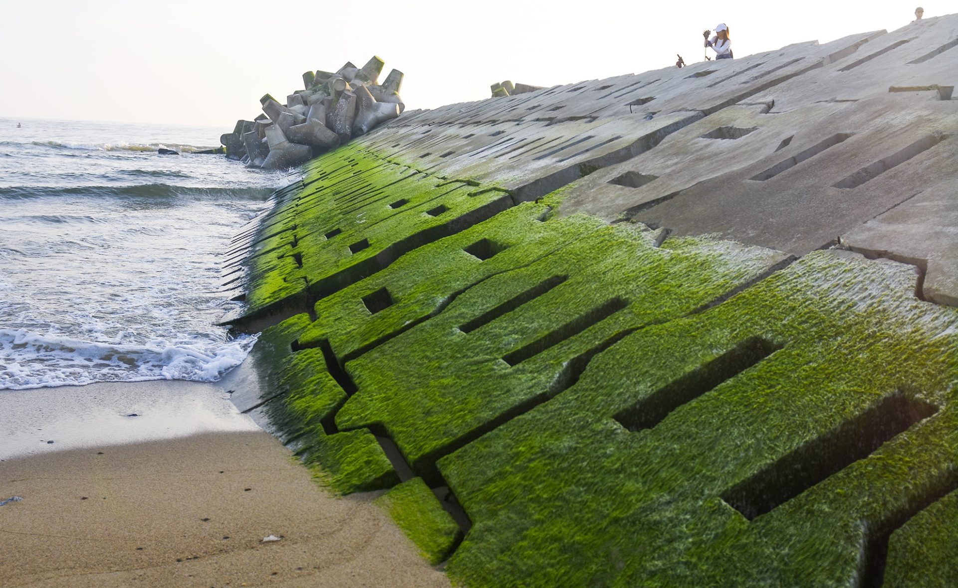 Đón bình minh bên kè chắn sóng phủ kín rêu xanh ở Quảng Ngãi