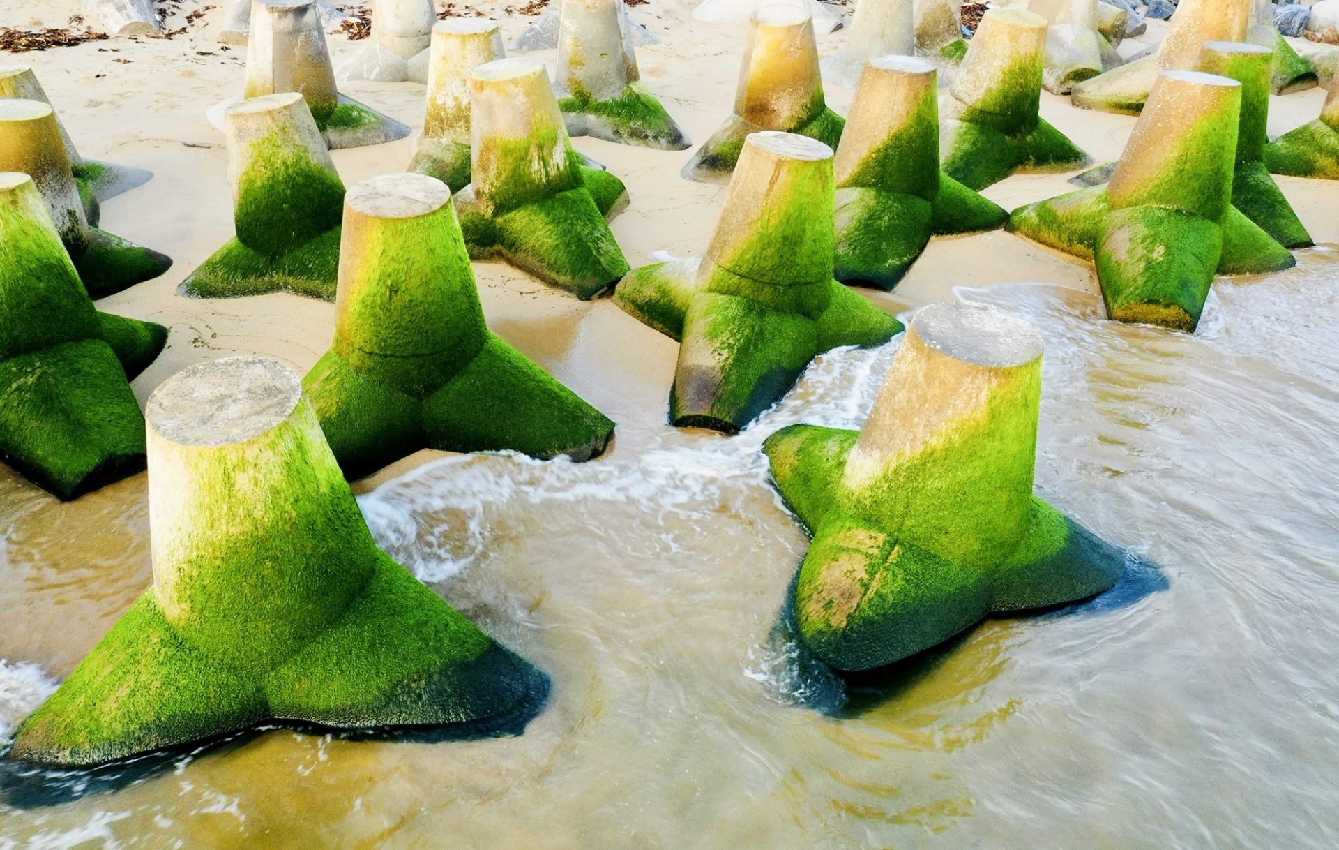 Đón bình minh bên kè chắn sóng phủ kín rêu xanh ở Quảng Ngãi