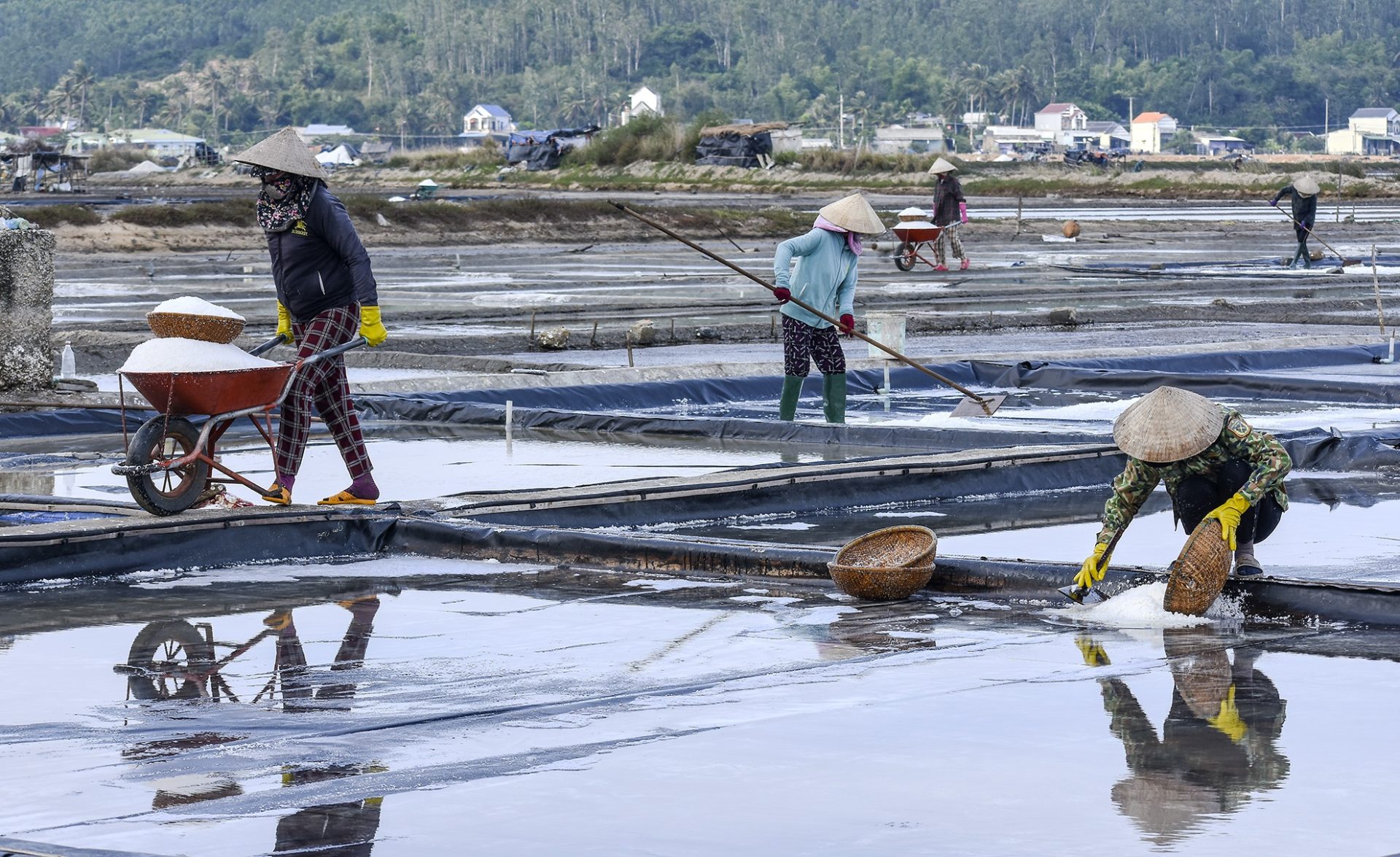 Gành đá như con rùa bơi ra biển Sa Huỳnh