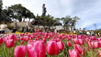 Đến núi Bà Đen cầu may, khám phá nhiều tập tục tín ngưỡng thú vị Đến núi Bà Đen cầu may, khám phá nhiều tập tục tín ngưỡng thú vị