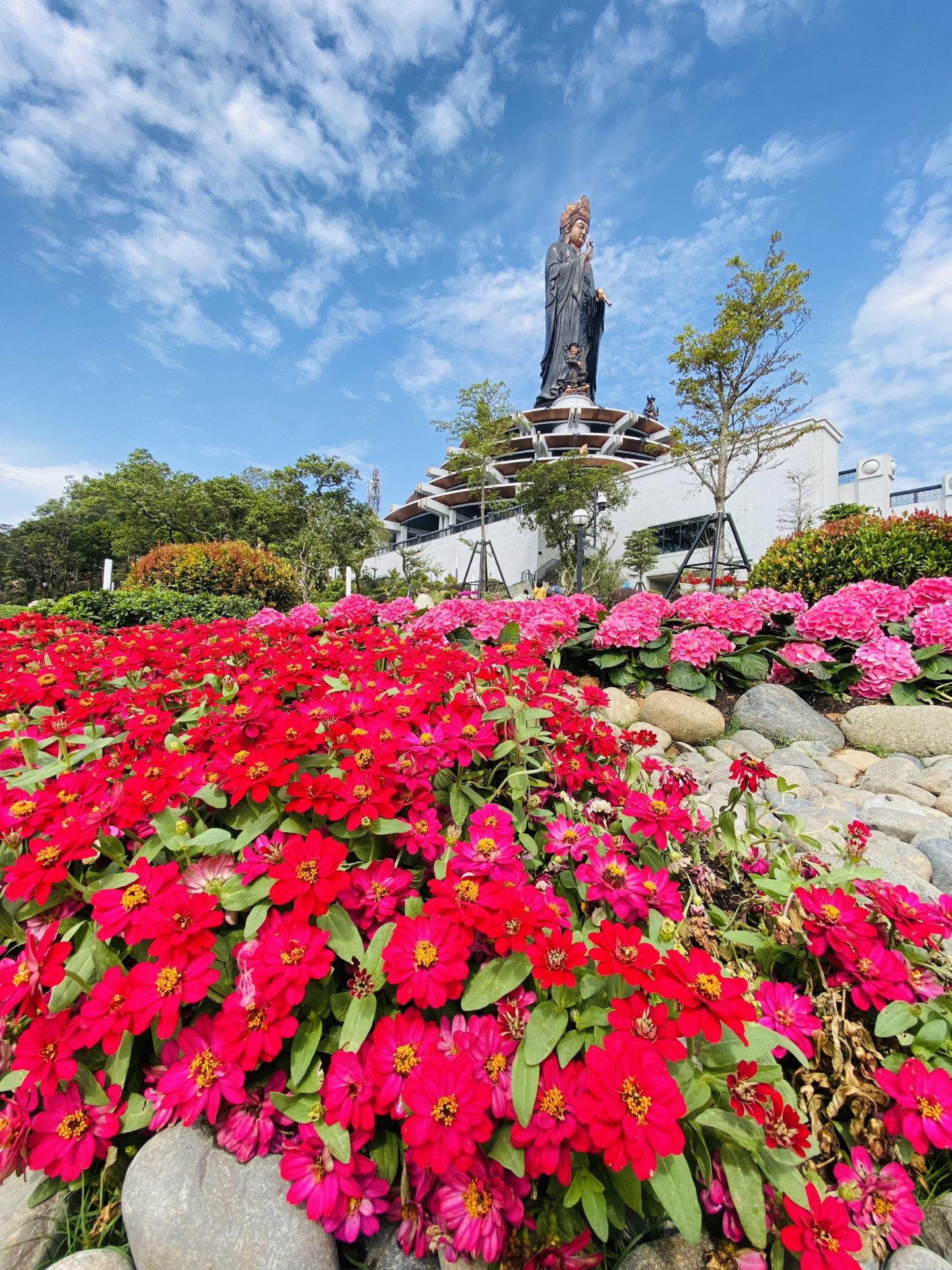 Du khách tấp nập lên núi Bà Đen ngắm hoa tulip cuối vụ Du khách tấp nập lên núi Bà Đen ngắm hoa tulip cuối vụ