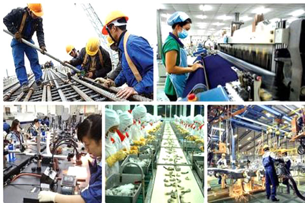 Những xu hướng chính trong năm Quý Mão Những xu hướng chính trong năm Quý Mão