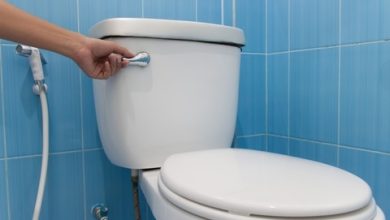 9 luật cấm kỳ lạ trên thế giới