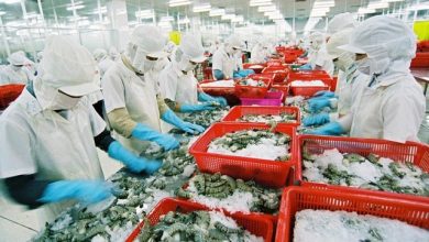 Xuất khẩu nông nghiệp: Khởi sắc từ thị trường lớn