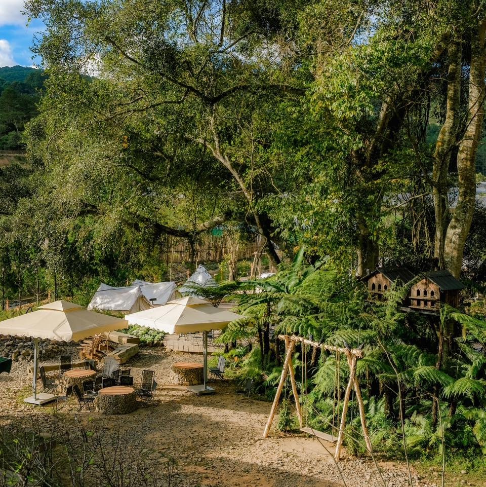 Điểm đến thiên nhiên lên ngôi tại Đà Lạt Điểm đến thiên nhiên lên ngôi tại Đà Lạt