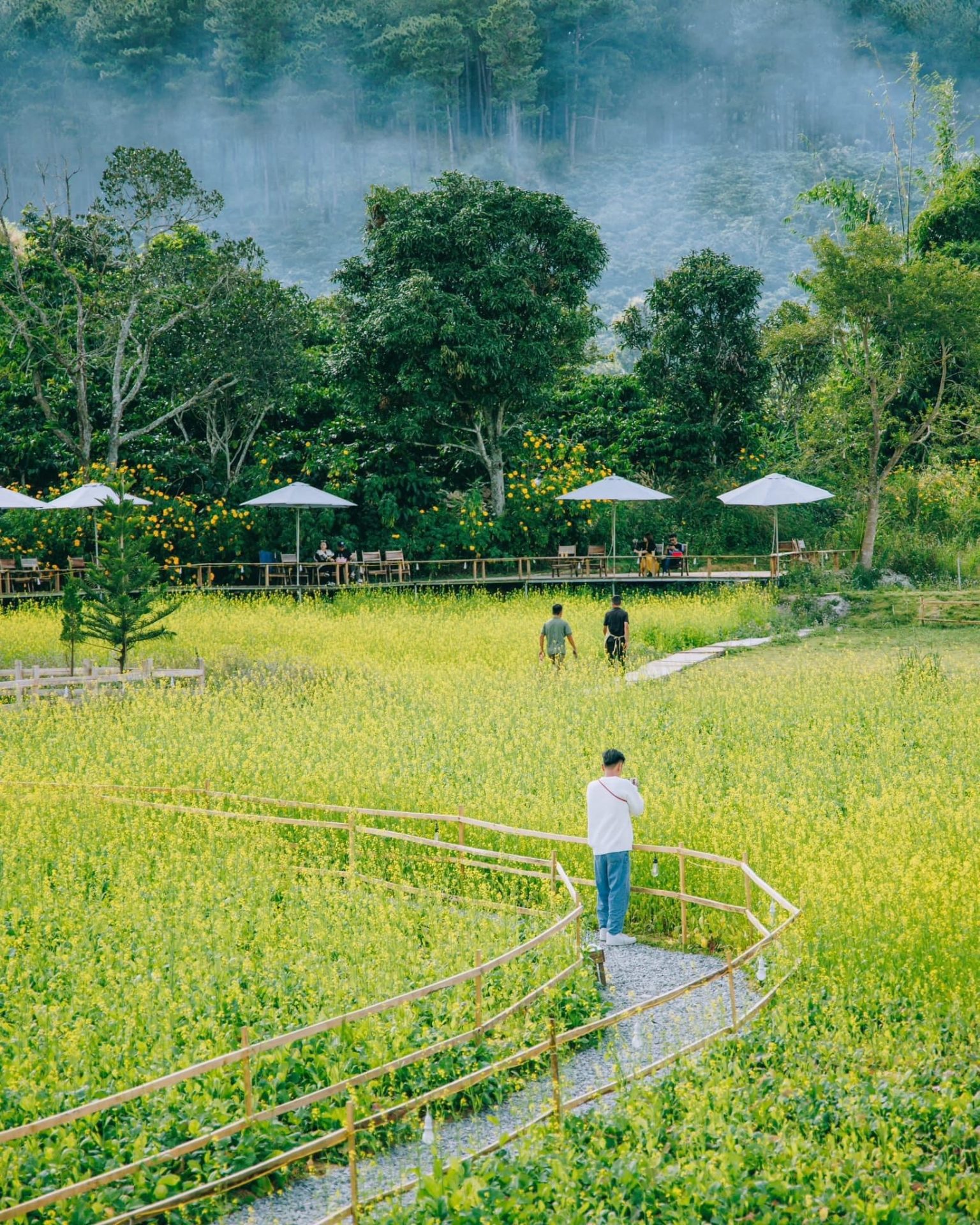Điểm đến thiên nhiên lên ngôi tại Đà Lạt