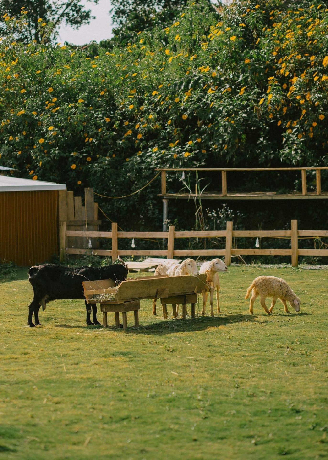 Điểm đến thiên nhiên lên ngôi tại Đà Lạt