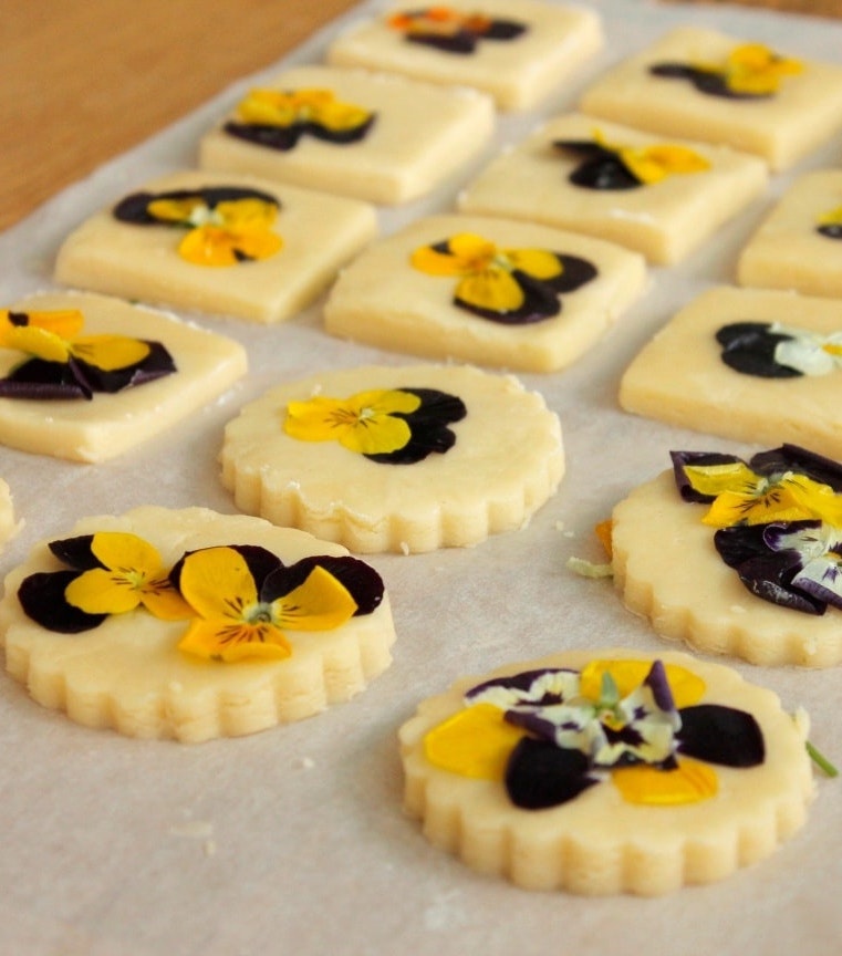 8/3 đi đâu, làm gì ở TP.HCM 8/3 đi đâu, làm gì ở TP.HCM