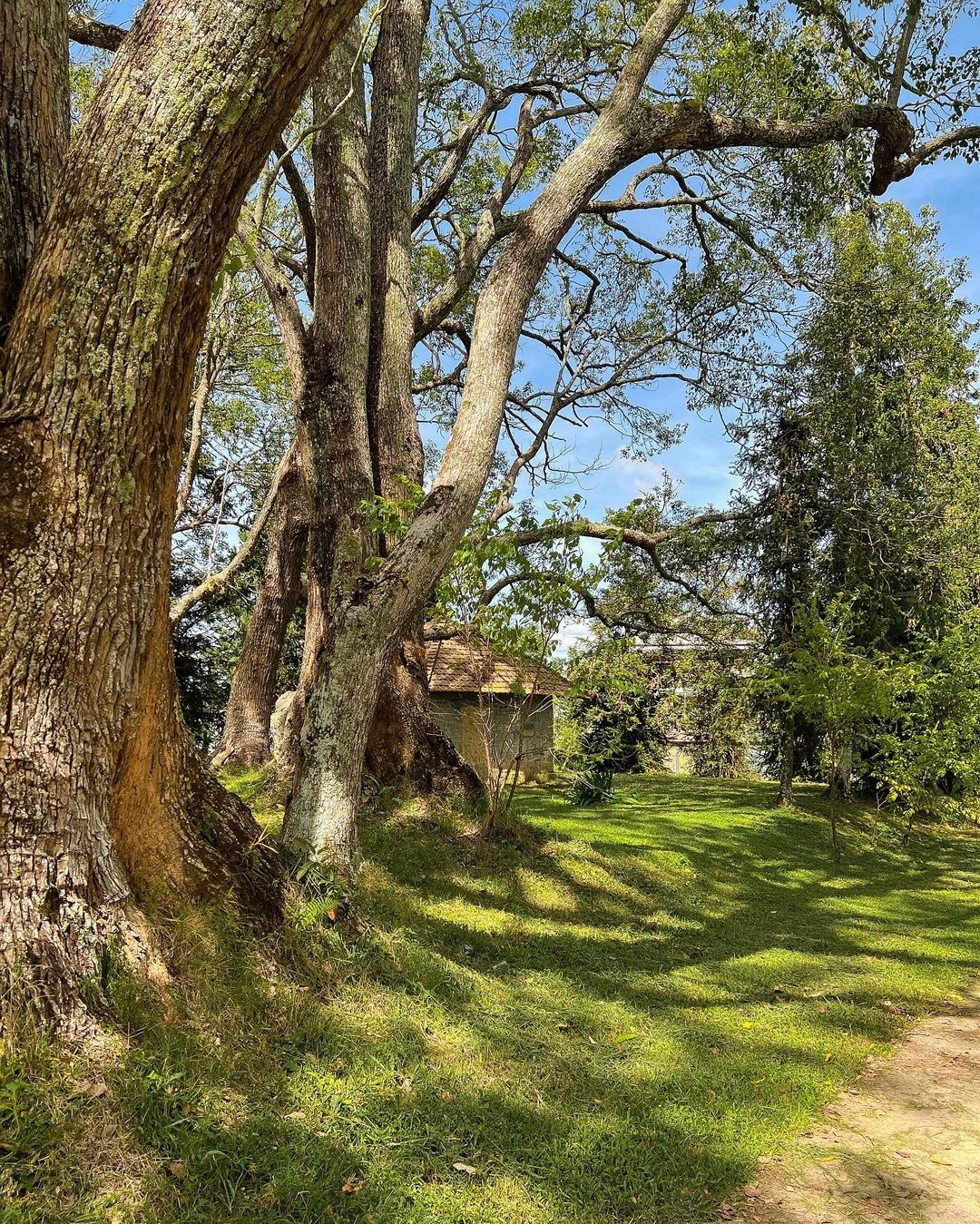 Điểm đến thiên nhiên lên ngôi tại Đà Lạt