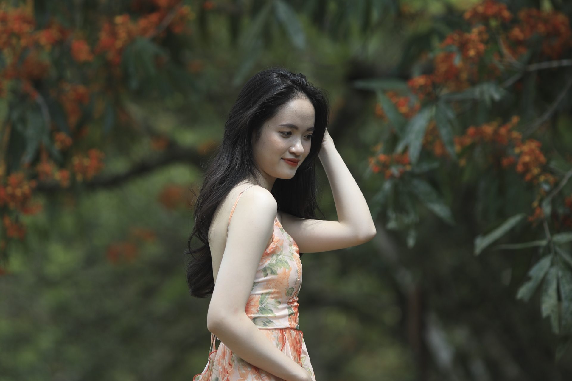 Hoa vàng anh khoe sắc ở vườn quốc gia Phong Nha - Kẻ Bàng Hoa vàng anh khoe sắc ở vườn quốc gia Phong Nha - Kẻ Bàng